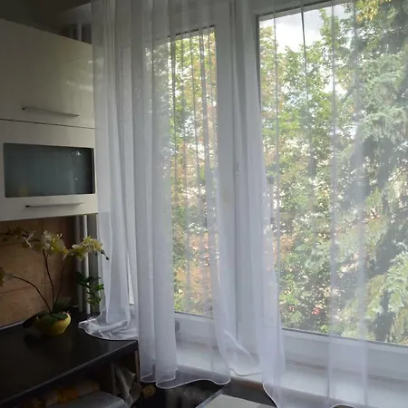 Telimena * Olsztyn (Warmian-Masurian)